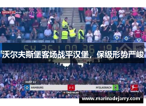 沃尔夫斯堡客场战平汉堡，保级形势严峻