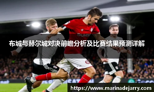 布城与赫尔城对决前瞻分析及比赛结果预测详解